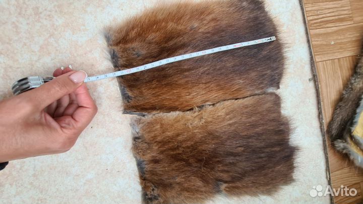 Шкурка ондатры