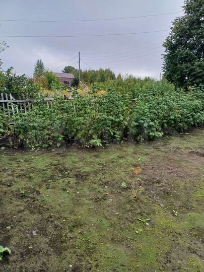 Участок 10 сот. (СНТ, ДНП)