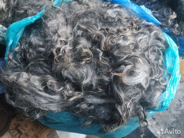 Волгоградский козий пух. Доставка по городу и райо