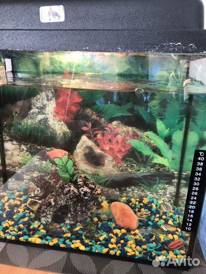 Аквариум