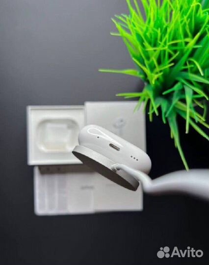 Звуки и видения: мир вашего выбора