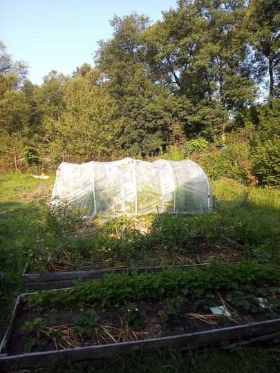 Дача 34 м² на участке 4,6 сот.