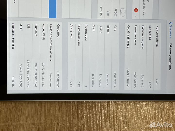 iPad mini 3 cellular