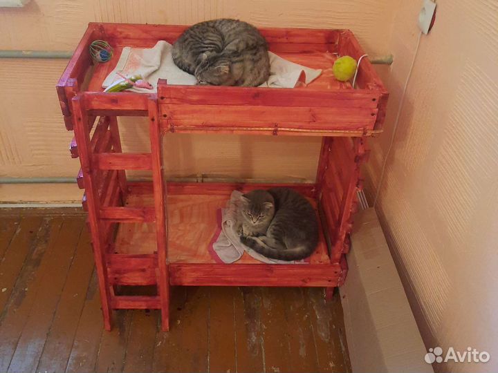 Кровать для кошки