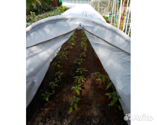 Парник Даяс Отличник