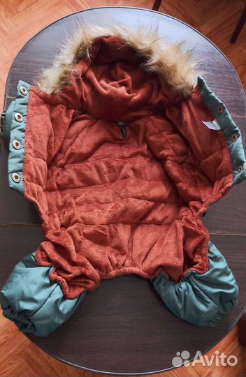 Одежда для собак