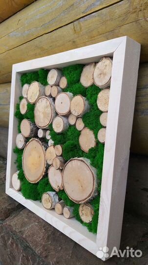 Панно мох и спилы дерева