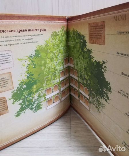 Моя родовая книга