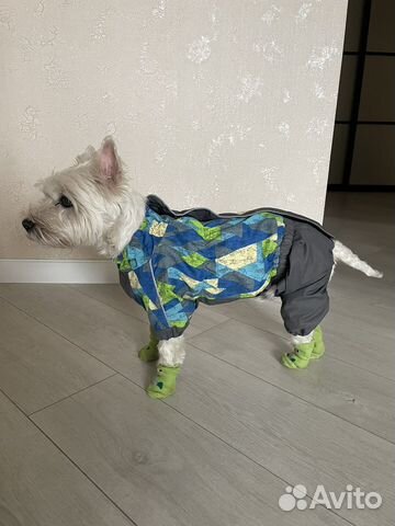 Комбинезон для средней собаки