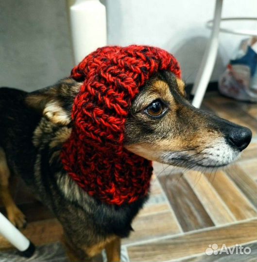 Шапочка для маленькой собачки