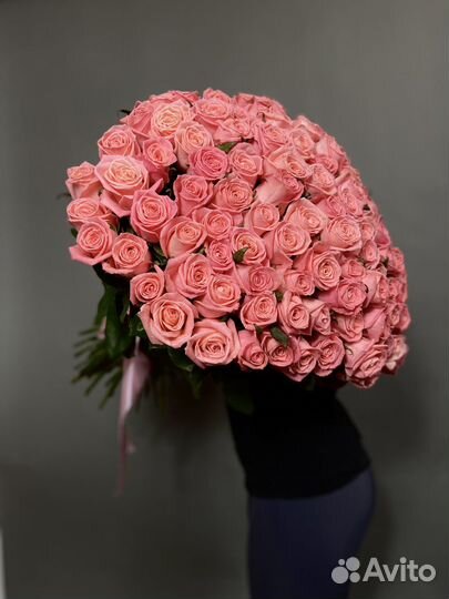 Свежие голландские розы