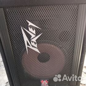 Peavey store 110 tls