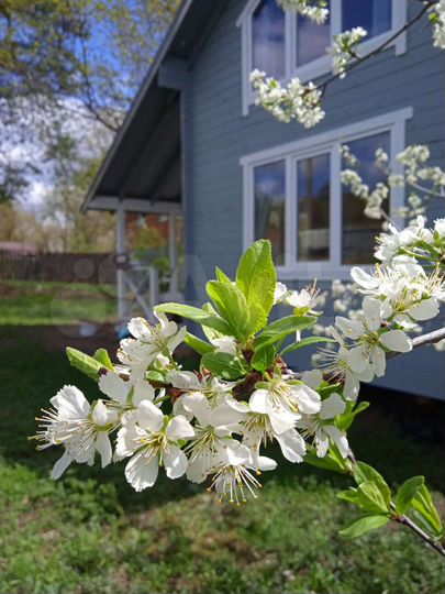 Дом 50 м² на участке 8 сот.