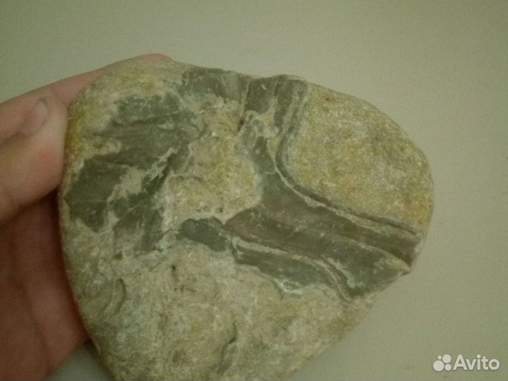 Окаменелая кость