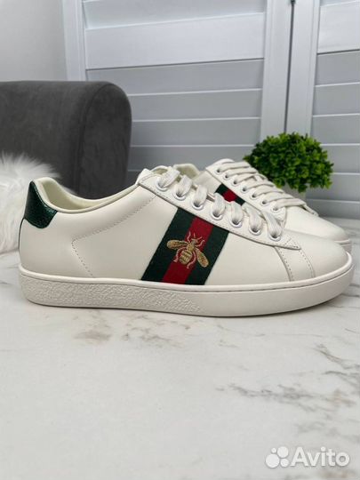 Кеды Gucci Ace