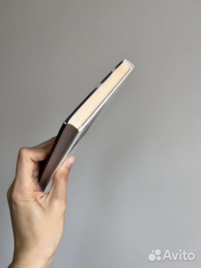 Януш Леон Вишневский - Любовница