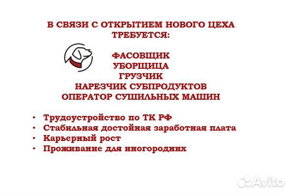 Нарезчик субпродуктов, Тамбов