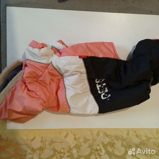 Одежда для собак мелких и средних пород