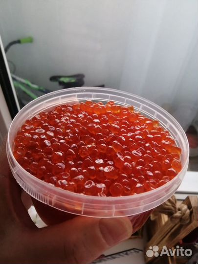 Красная икра топ качество 2023 кета