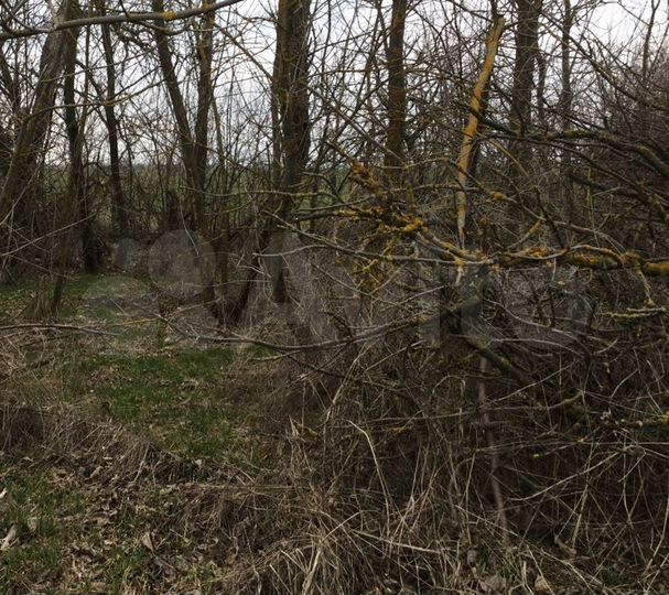 Участок 10 сот. (СНТ, ДНП)