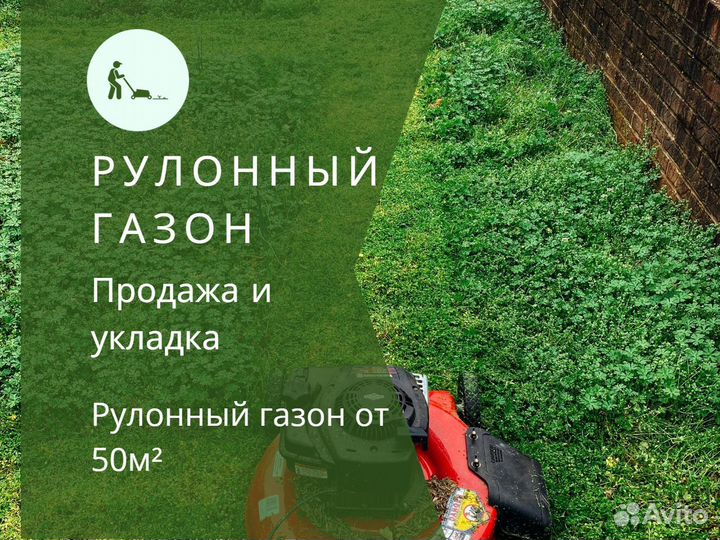Рулонный газон напрямую от производителя