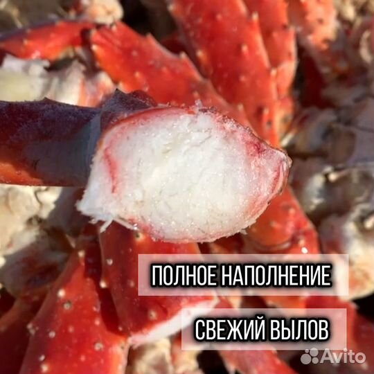 Камчатский краб оптом /конечности краба/морепродук