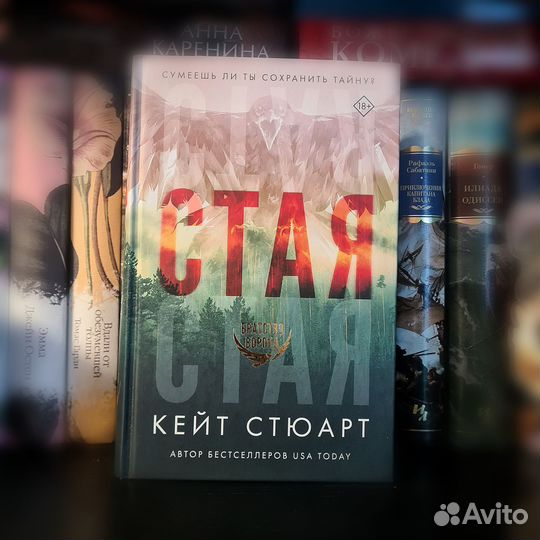 Кейт Стюарт 
