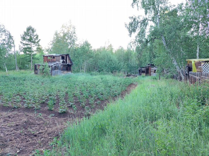 Участок 12 сот. (СНТ, ДНП)