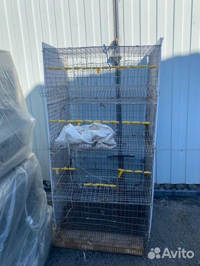 Клетка для перепелов