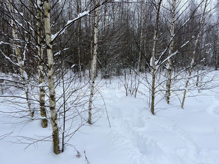 Участок 30 сот. (ИЖС)