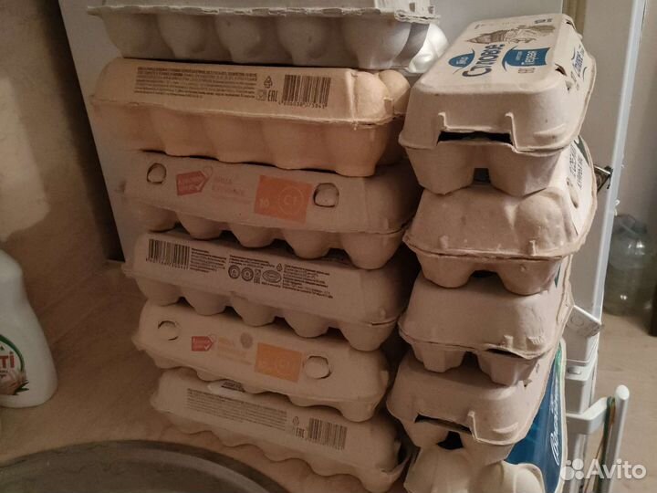 Лотки из-под яиц 23 шт