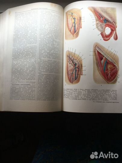 Большая медицинская энциклопедия