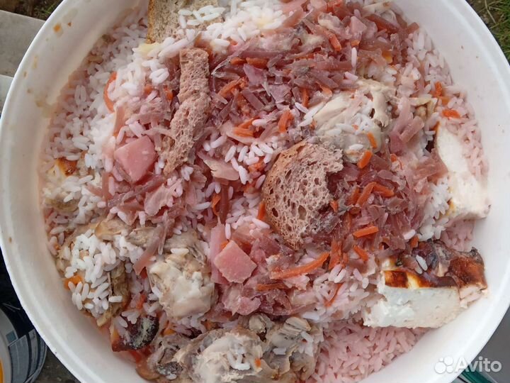 Пищевые отходы