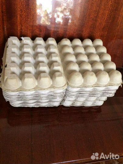 Лотки (9 штук) для перепелиных яиц цена за все