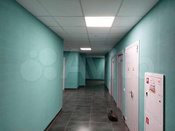 Офис, 146.3 м²
