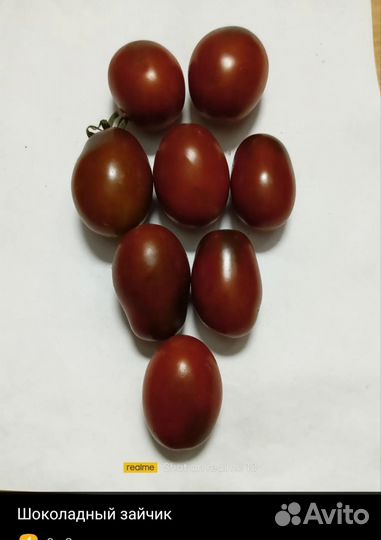 Семена помидор черри