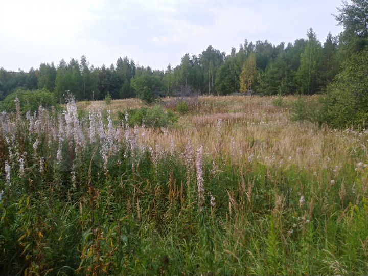 Участок 13,6 сот. (ИЖС)