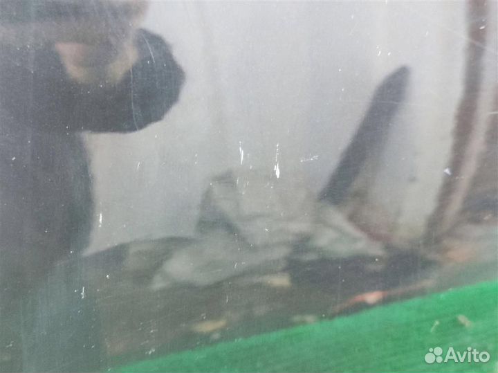 Дверь задняя левая Mercedes Benz C-Class W204 2008