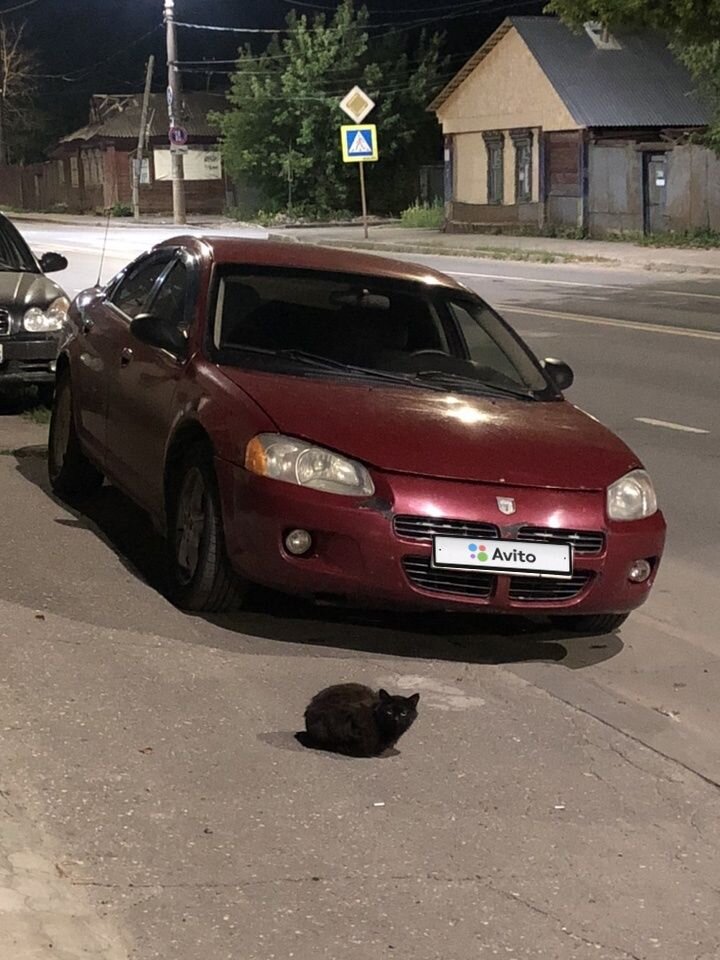 Dodge Stratus: фото владельца