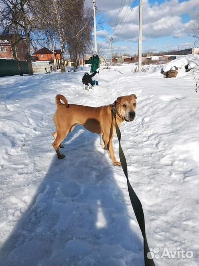 Мы одна команда