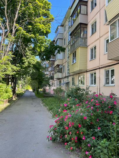 3-к. квартира, 55,5 м², 1/5 эт.