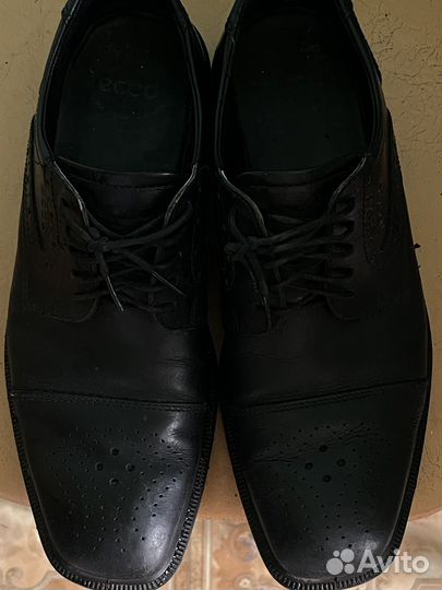 Мужские туфли ecco