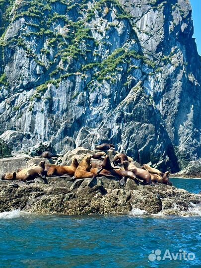 Морская прогулка