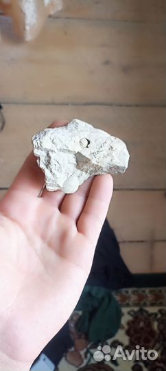 Ценный известковый камень минерал сувенир