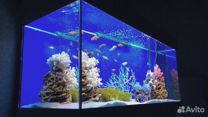 Аквариум