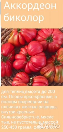 Семена коллекционных помидор