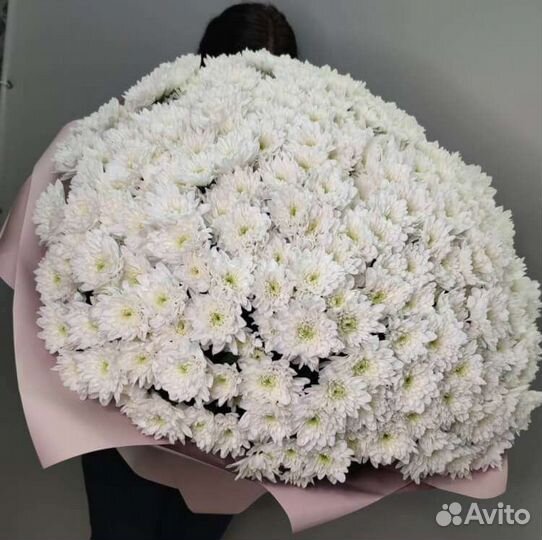Красивый Букет из Хризантем. Гарантия качества