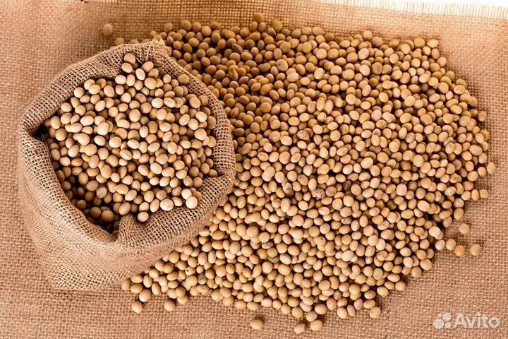 Продажа сои