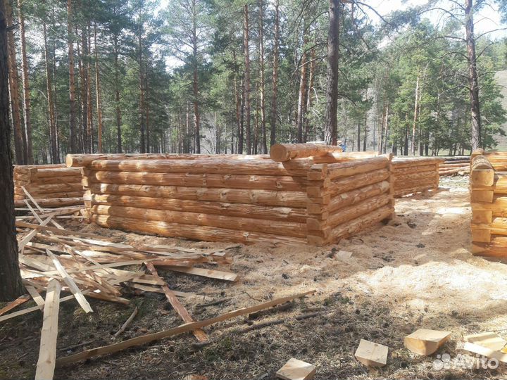 Сруб для бани 3х5