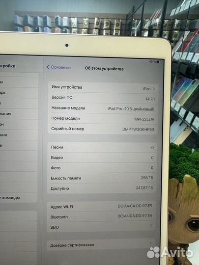 iPad pro 10 5 256gb